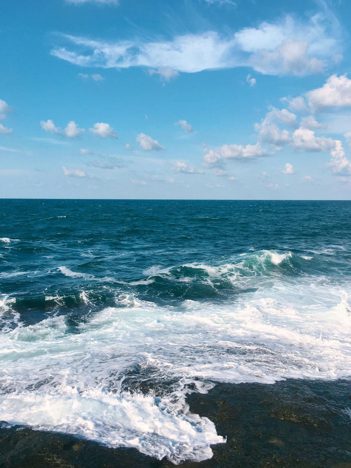 Onde del mare sulla scogliera