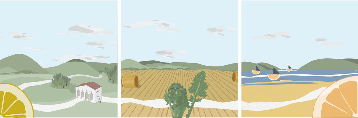 Illustrazione del paesaggio pugliese