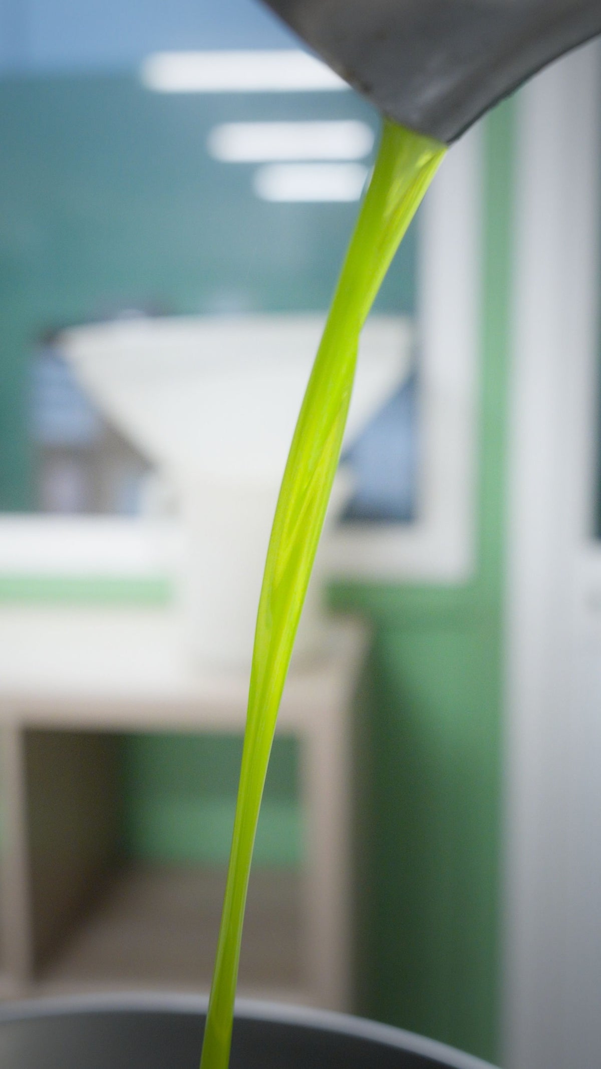 Olio appena estratto dal frantoio