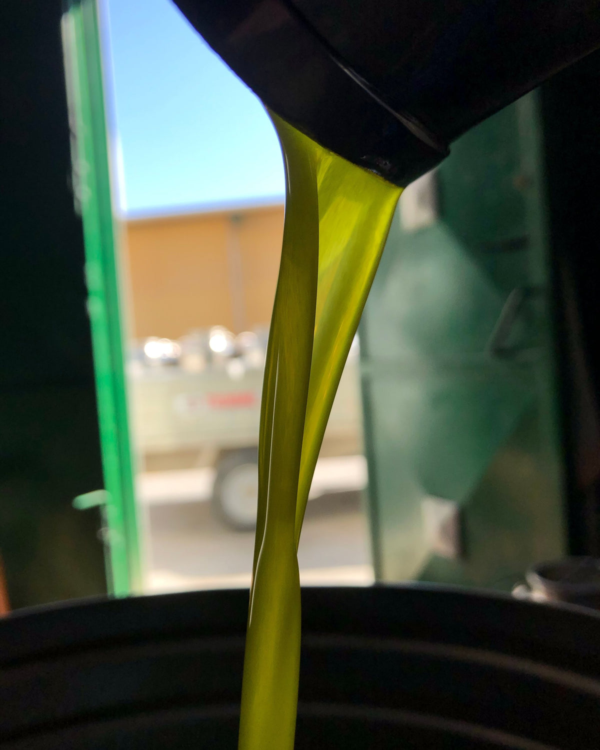 Olio EVO appena estratto